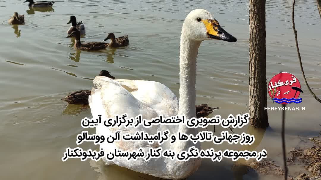یک گزارش ویژه
